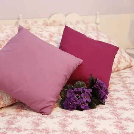 La Violetta Apartment Florence